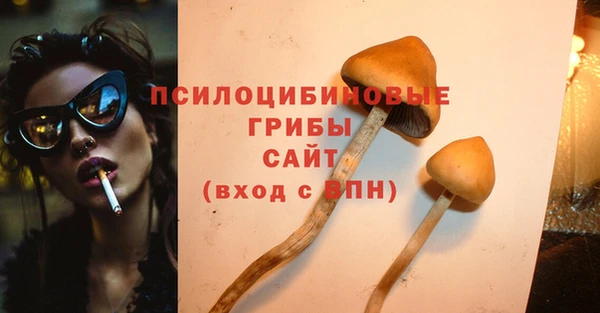 эйфоретик Вязники